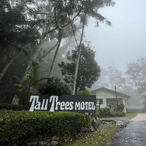 Tall Trees Mountain Retreat Mount Tamborine